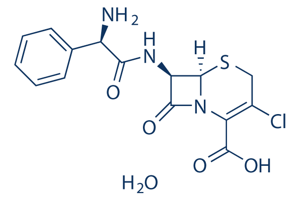 Cefaclor