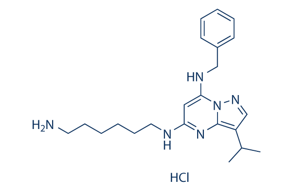 BS-181 HCl