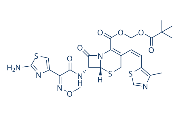 Cefditoren Pivoxil