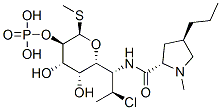 Clindamycin Phosphate