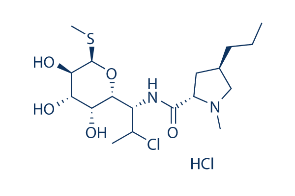 Clindamycin HCl