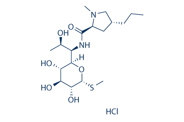 Lincomycin HCl