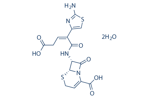 Ceftibuten dihydrate