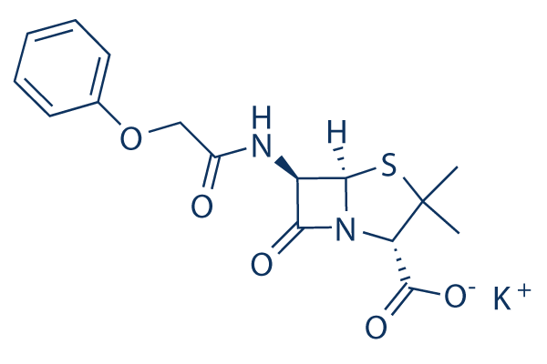 Penicillin V potassium salt