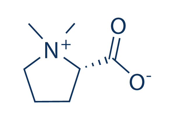 Stachydrine