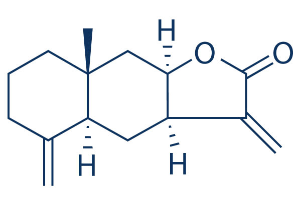 Isoalantolactone