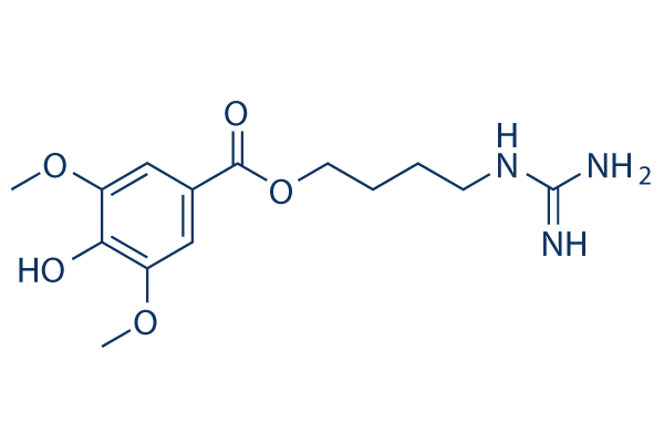 Leonurine