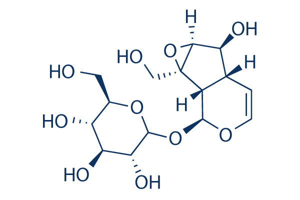 Catalpol