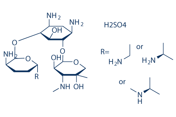 Gentamicin Sulfate