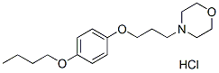 Pramoxine HCl