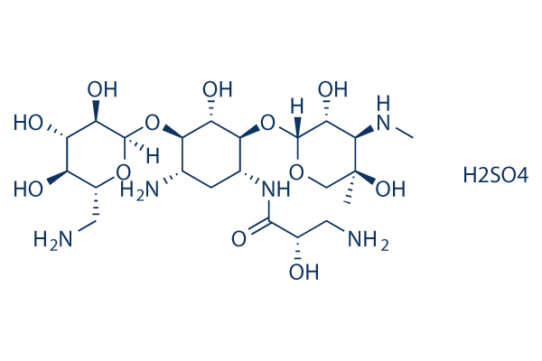 Isepamicin Sulphate