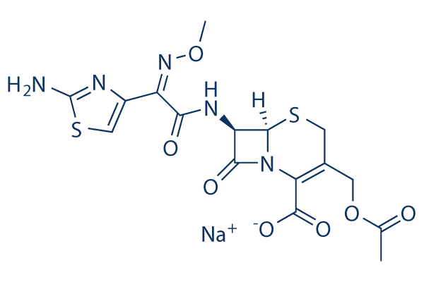 Cefotaxime sodium