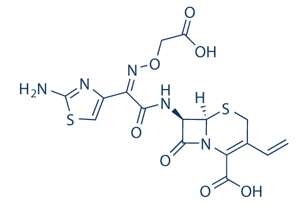 Cefixime