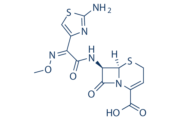 Ceftizoxime