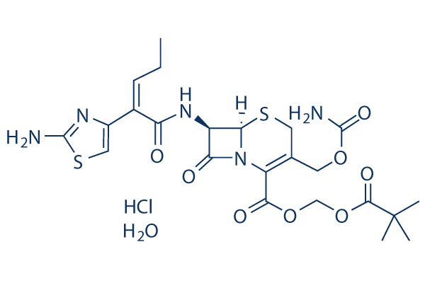 Cefcapene Pivoxil Hydrochloride