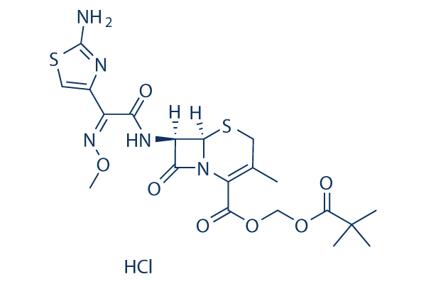 Cefetamet pivoxil hydrochloride