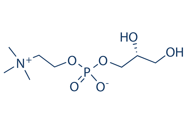 Choline Glycerophosphate