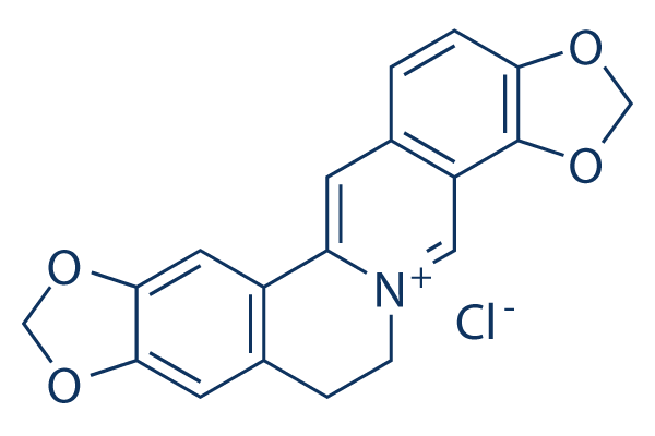 Coptisine chloride