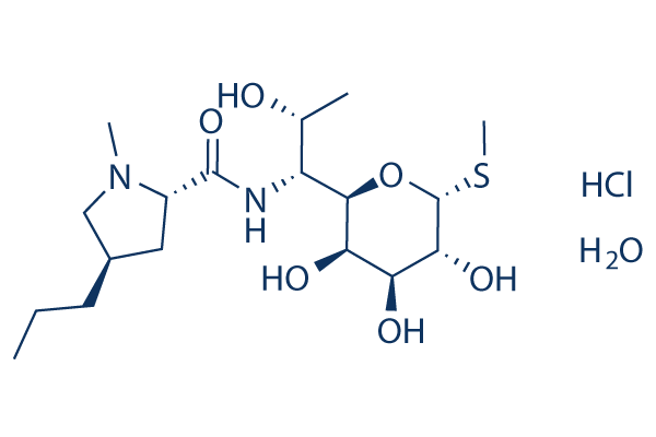 Lincomycin Hydrochloride Monohydrate