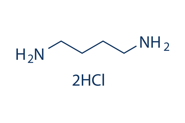 1,4-Diaminobutane dihydrochloride