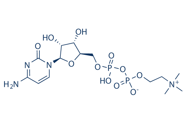 Citicholine