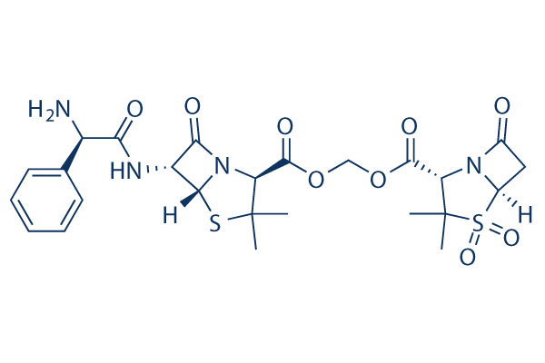 Sultamicillin