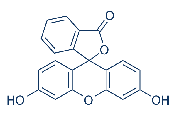 Fluorescein