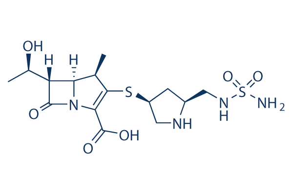 Doripenem