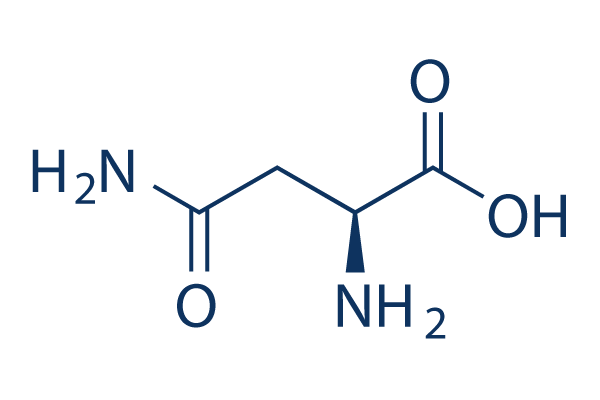 L-Asparagine