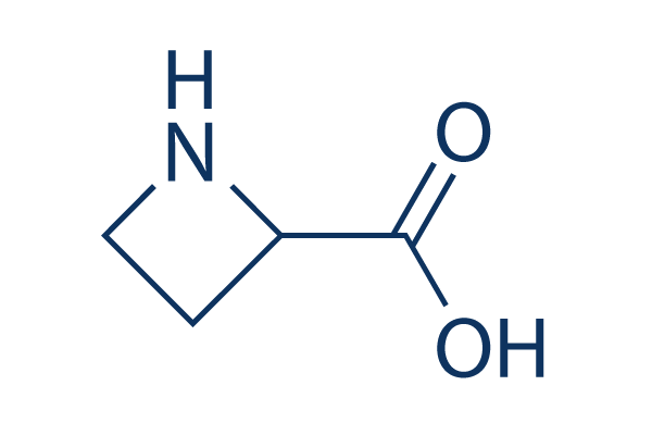 Azetidine-2-carboxylic acid