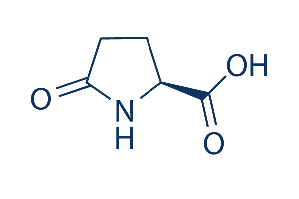 L-Pyroglutamic acid