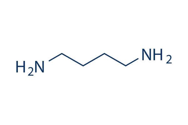 1,4-Diaminobutane