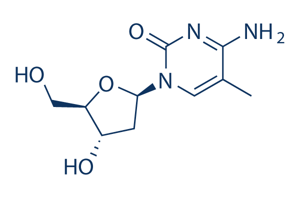 5-Methyl-2\'-deoxycytidine