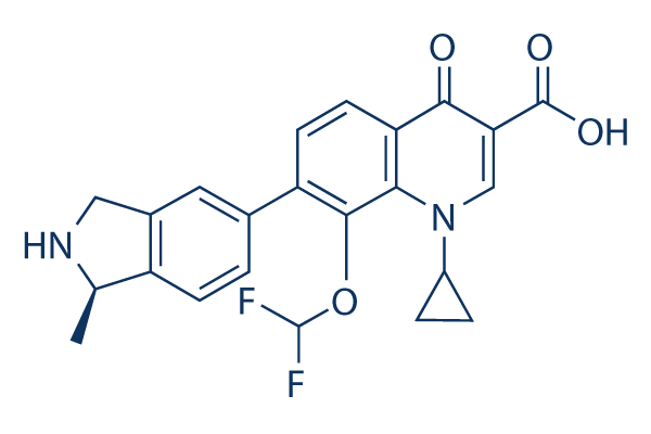 Garenoxacin