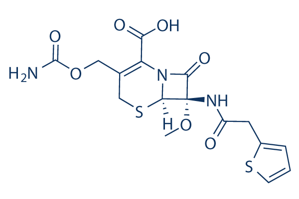 Cefoxitin