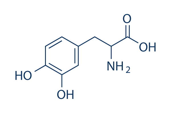 DL-Dopa