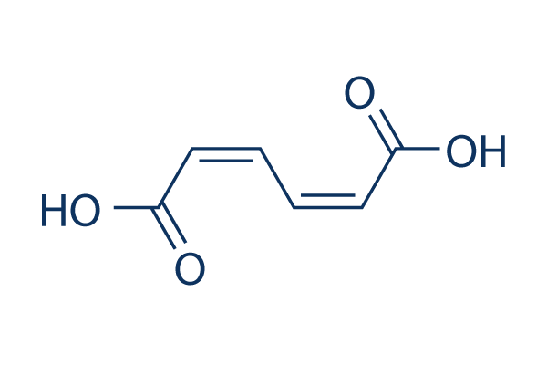 cis,cis-Muconic acid