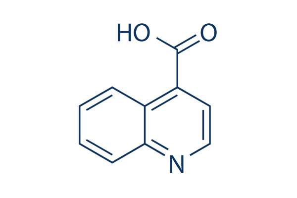 Quinoline-4-carboxylic acid