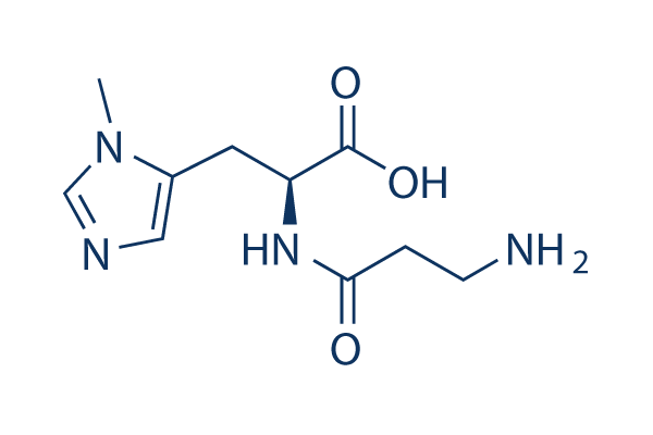 Anserine