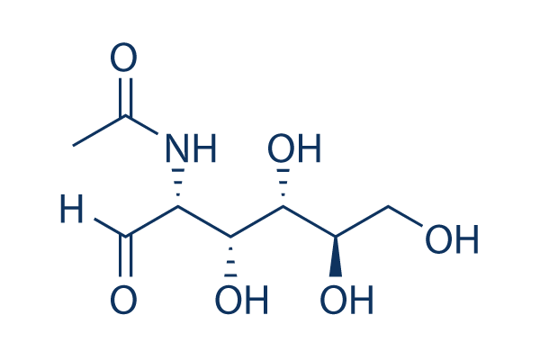 N-Acetylglucosamine