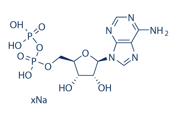 Adenosine 5&prime;-diphosphate sodium salt