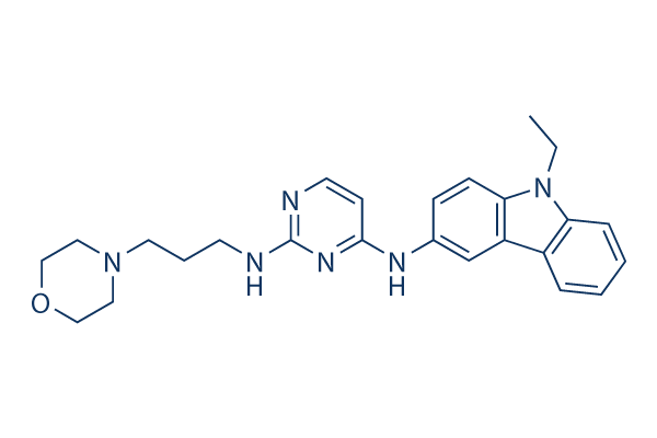 EHop-016