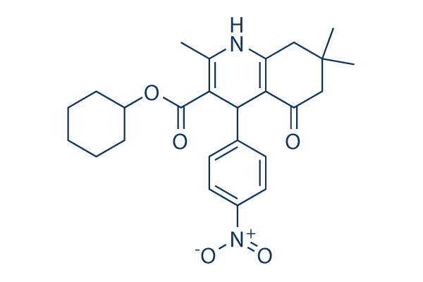 FLI-06