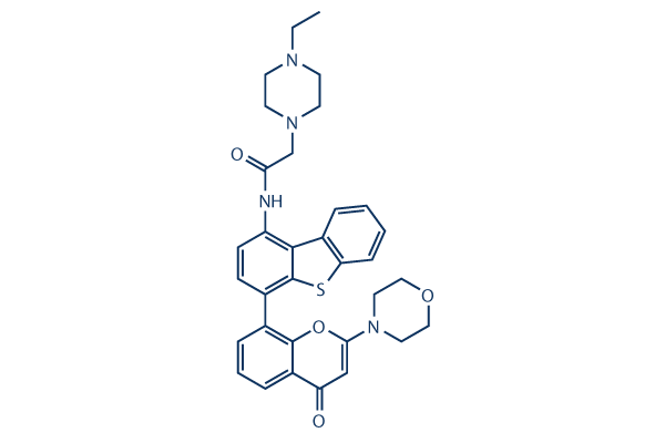 KU-0060648