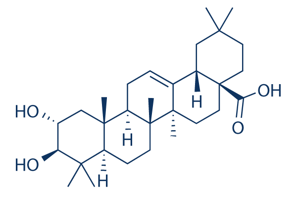 Maslinic acid