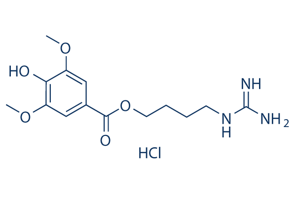 Leonurine Hydrochloride