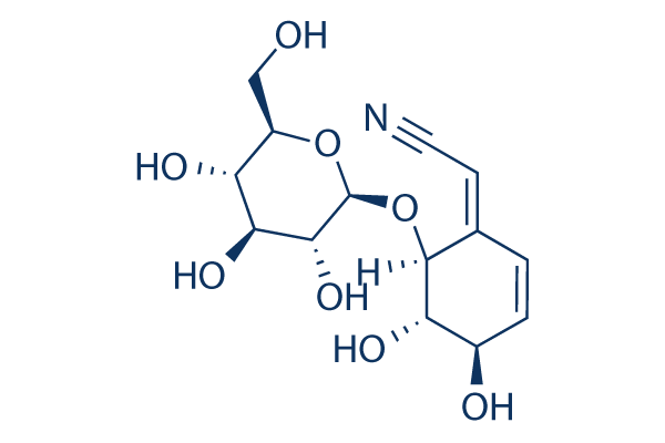 Lithospermoside