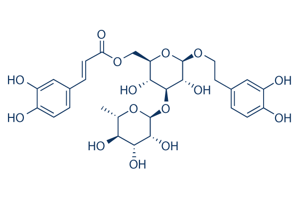 Isoacteoside