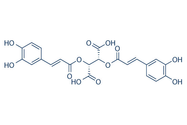 Chicoric acid