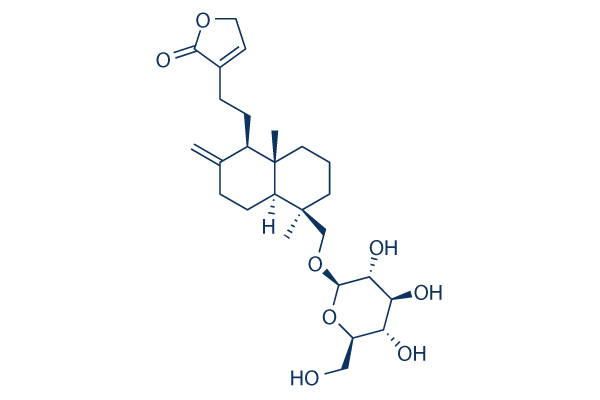 Neoandrographolide